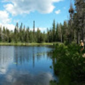 Meet your Posher, Anne marie